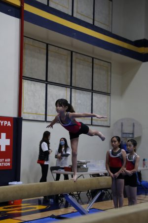 Gymnastics - 2022 GYMNASTICS MEET | TYPA