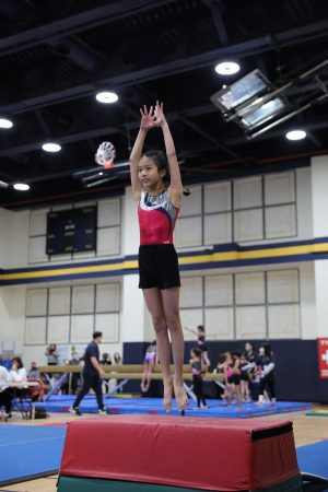 Gymnastics - 2022 GYMNASTICS MEET | TYPA