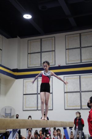 Gymnastics - 2022 GYMNASTICS MEET | TYPA