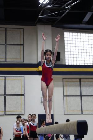 Gymnastics - 2022 GYMNASTICS MEET | TYPA