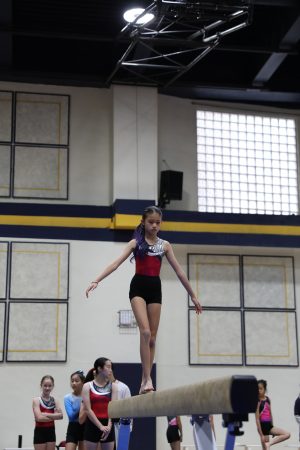 Gymnastics - 2022 GYMNASTICS MEET | TYPA