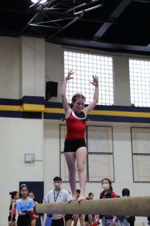 Gymnastics - 2022 GYMNASTICS MEET | TYPA