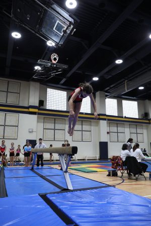 Gymnastics - 2022 GYMNASTICS MEET | TYPA