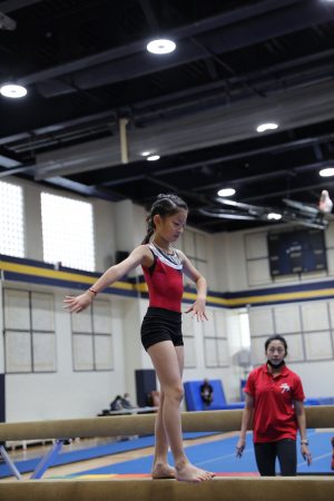 Gymnastics - 2022 GYMNASTICS MEET | TYPA