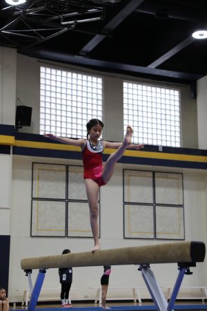 Gymnastics - 2022 GYMNASTICS MEET | TYPA