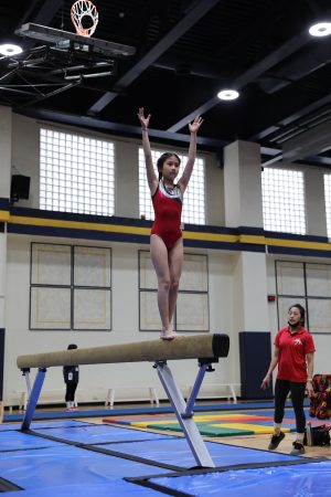 Gymnastics - 2022 GYMNASTICS MEET | TYPA