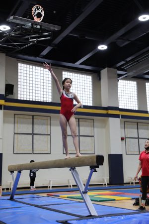 Gymnastics - 2022 GYMNASTICS MEET | TYPA