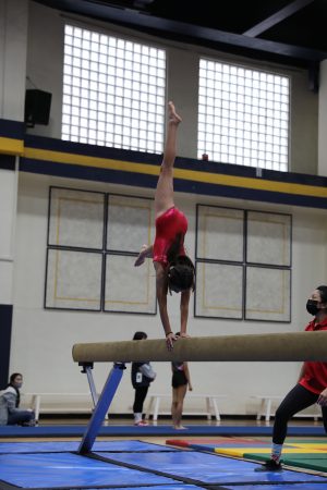 Gymnastics - 2022 GYMNASTICS MEET | TYPA