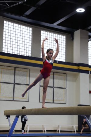 Gymnastics - 2022 GYMNASTICS MEET | TYPA