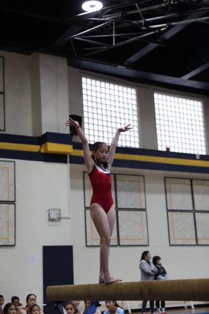 Gymnastics - 2022 GYMNASTICS MEET | TYPA