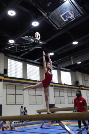 Gymnastics - 2022 GYMNASTICS MEET | TYPA