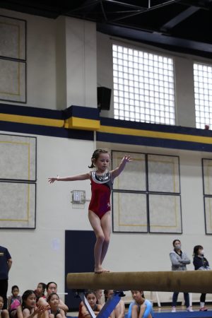 Gymnastics - 2022 GYMNASTICS MEET | TYPA