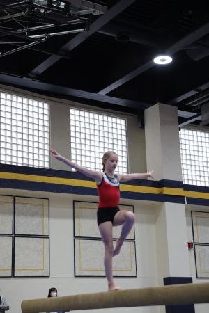 Gymnastics - 2022 GYMNASTICS MEET | TYPA