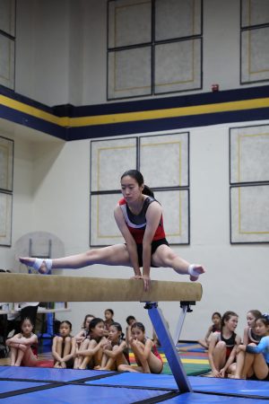 Gymnastics - 2022 GYMNASTICS MEET | TYPA