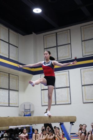 Gymnastics - 2022 GYMNASTICS MEET | TYPA