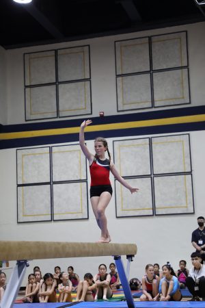 Gymnastics - 2022 GYMNASTICS MEET | TYPA