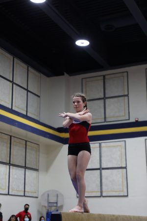 Gymnastics - 2022 GYMNASTICS MEET | TYPA