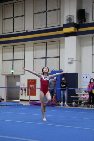 Gymnastics - 2022 GYMNASTICS MEET | TYPA