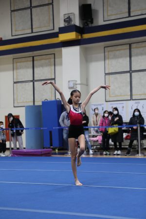 Gymnastics - 2022 GYMNASTICS MEET | TYPA