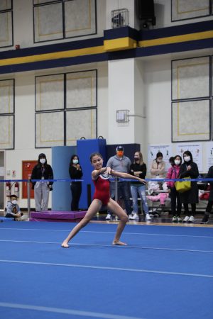 Gymnastics - 2022 GYMNASTICS MEET | TYPA