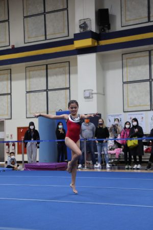 Gymnastics - 2022 GYMNASTICS MEET | TYPA