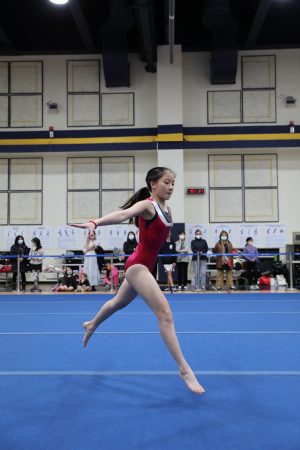 Gymnastics - 2022 GYMNASTICS MEET | TYPA