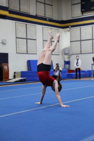 Gymnastics - 2022 GYMNASTICS MEET | TYPA