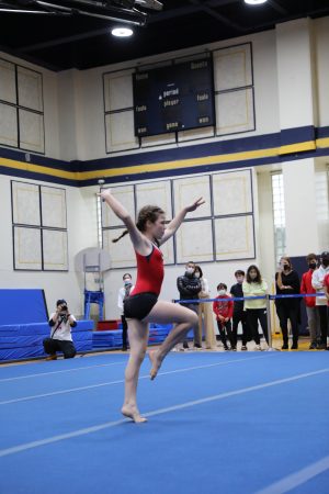 Gymnastics - 2022 GYMNASTICS MEET | TYPA