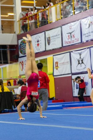 Gymnastics - 2024 Bangkok Moose Games | TYPA