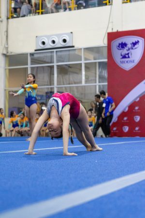 Gymnastics - 2024 Bangkok Moose Games | TYPA