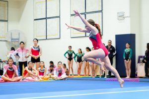 Gymnastics - 2024 GYMNASTICS MEET | TYPA