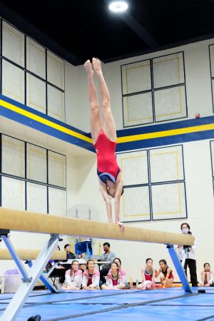 Gymnastics - 2024 GYMNASTICS MEET | TYPA