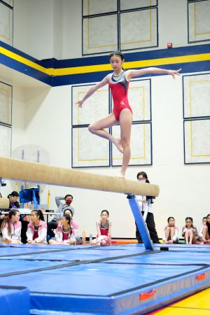 Gymnastics - 2024 GYMNASTICS MEET | TYPA