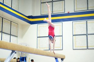 Gymnastics - 2024 GYMNASTICS MEET | TYPA