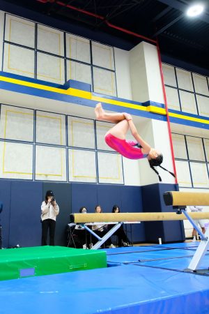 Gymnastics - 2024 GYMNASTICS MEET | TYPA