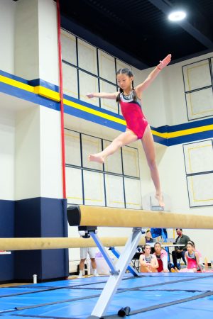 Gymnastics - 2024 GYMNASTICS MEET | TYPA