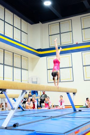 Gymnastics - 2024 GYMNASTICS MEET | TYPA