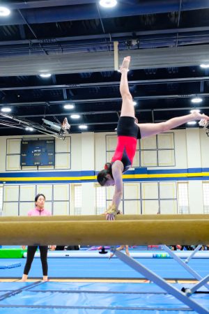 Gymnastics - 2024 GYMNASTICS MEET | TYPA