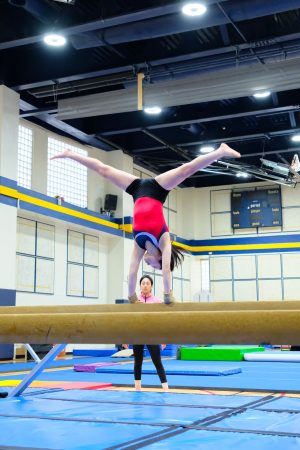 Gymnastics - 2024 GYMNASTICS MEET | TYPA