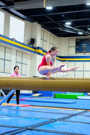 Gymnastics - 2024 GYMNASTICS MEET | TYPA