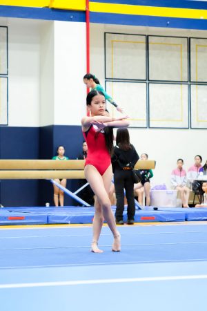Gymnastics - 2024 GYMNASTICS MEET | TYPA
