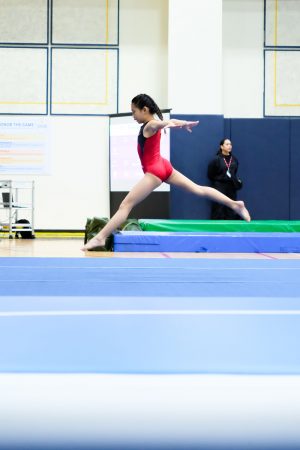Gymnastics - 2024 GYMNASTICS MEET | TYPA