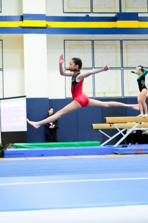 Gymnastics - 2024 GYMNASTICS MEET | TYPA