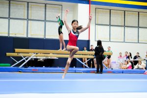 Gymnastics - 2024 GYMNASTICS MEET | TYPA