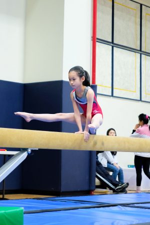 Gymnastics - 2024 GYMNASTICS MEET | TYPA