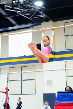 Gymnastics - 2024 GYMNASTICS MEET | TYPA