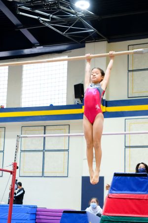 Gymnastics - 2024 GYMNASTICS MEET | TYPA