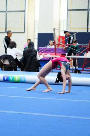 Gymnastics - 2024 GYMNASTICS MEET | TYPA