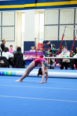 Gymnastics - 2024 GYMNASTICS MEET | TYPA