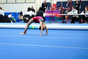 Gymnastics - 2024 GYMNASTICS MEET | TYPA